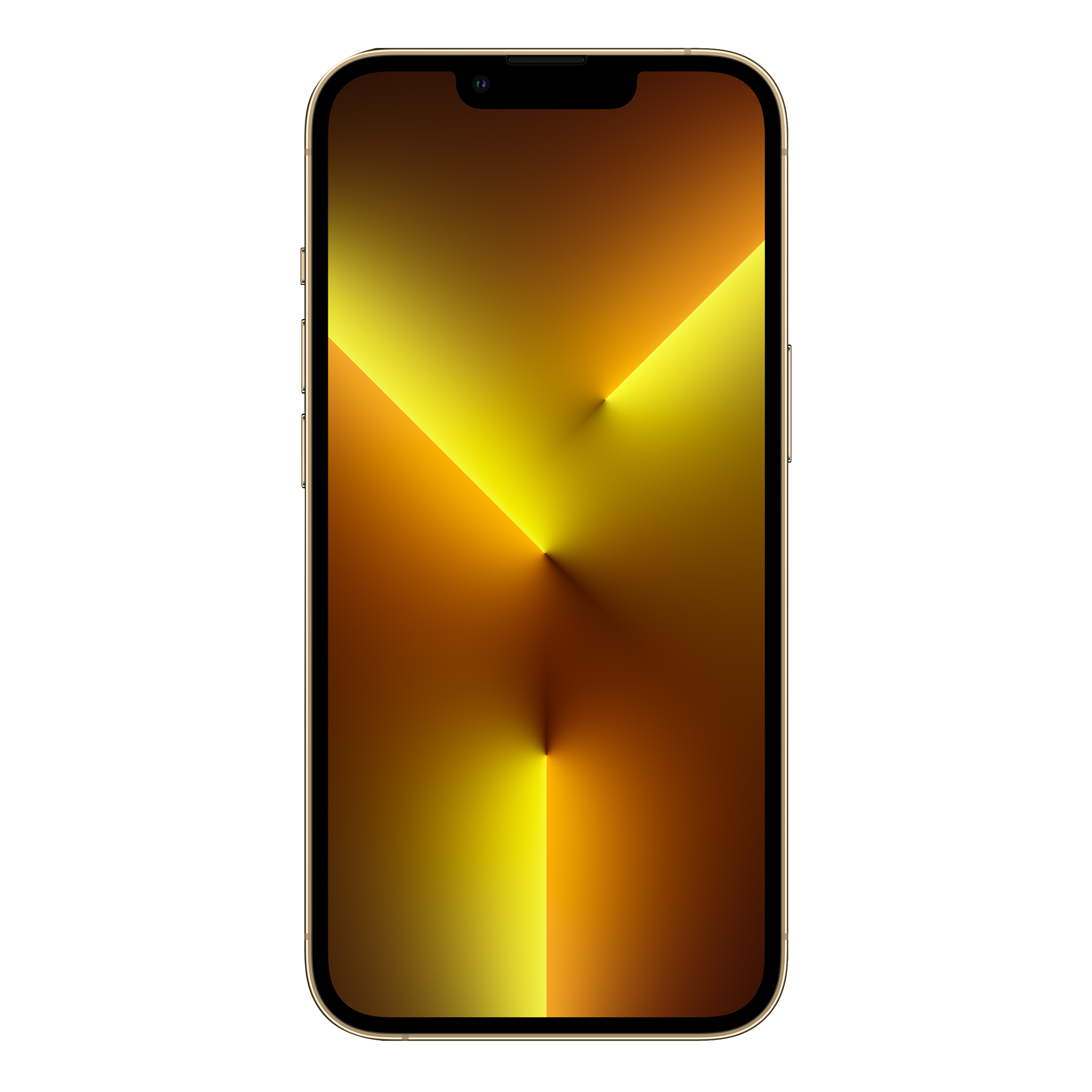 Apple iPhone 13 Pro Max (1TB) / MLFH3LL/A Gold - Image 2