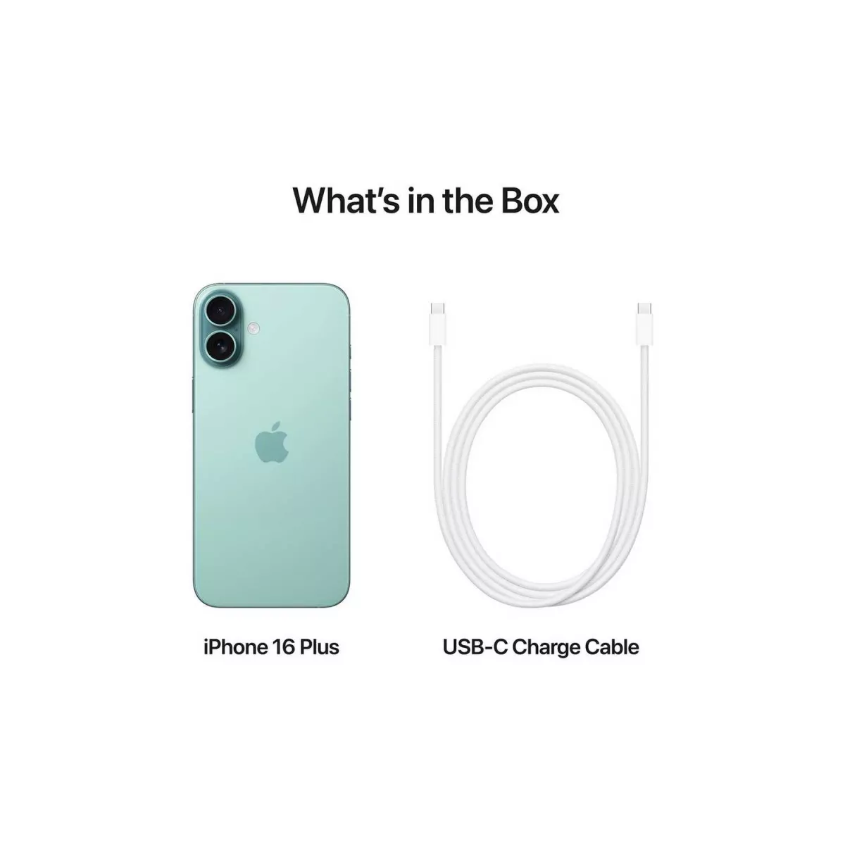Apple iPhone 16 Plus (256GB) – 6.7″ Super Retina XDR Display, Teal - Image 6