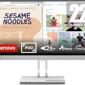 Lenovo L22E-40 21.5-Inch Monitor